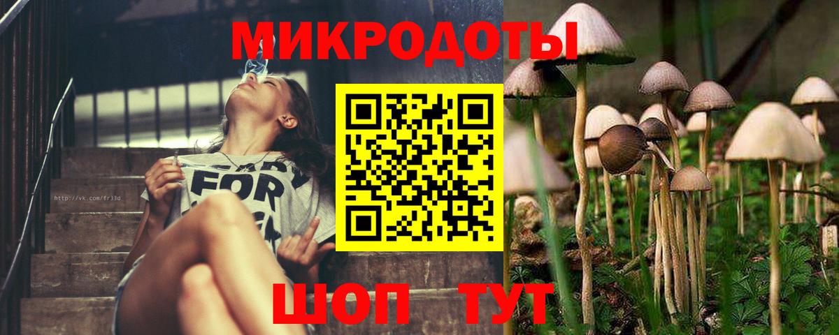 Галлюциногенные грибы Psilocybine cubensis Железногорск